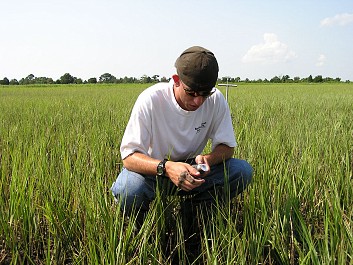 Marsh sampling