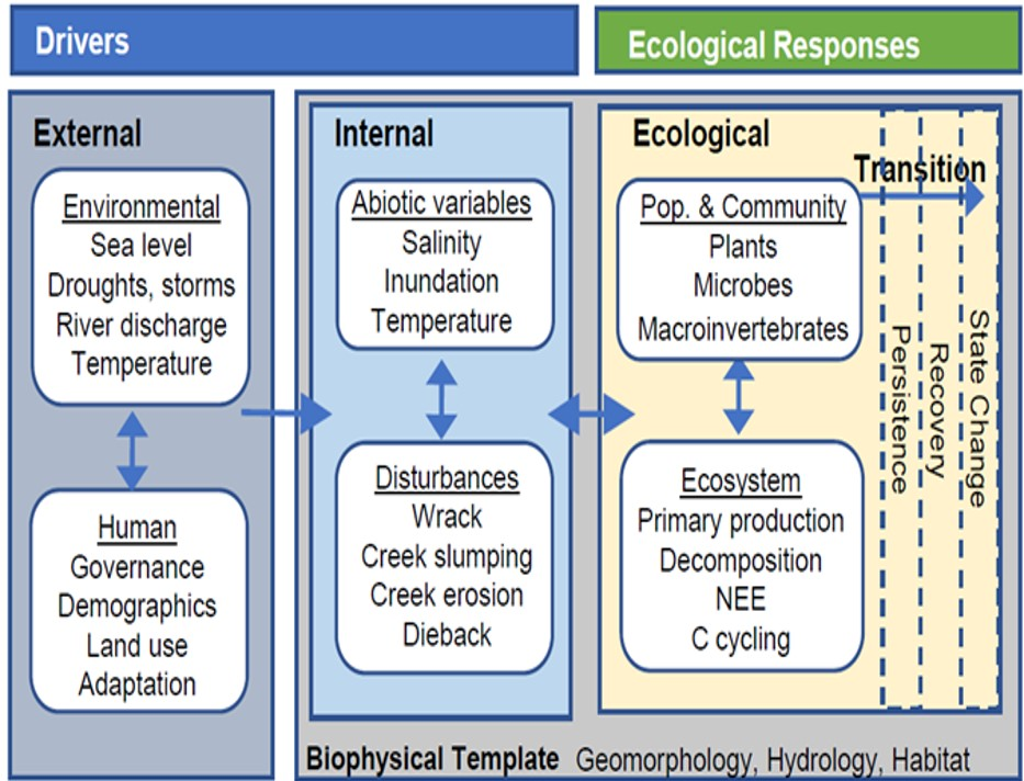 Conceptual Diagram